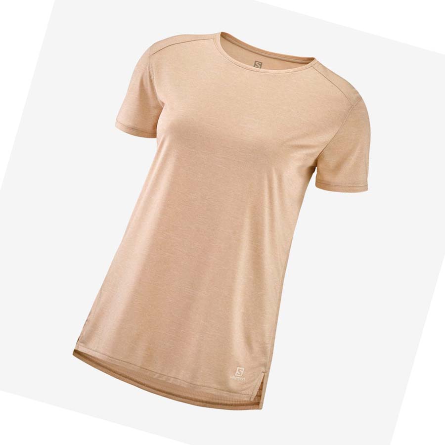 Camiseta Salomon OUTLINE SUMMER Mujer Beige | MX 2554TCE